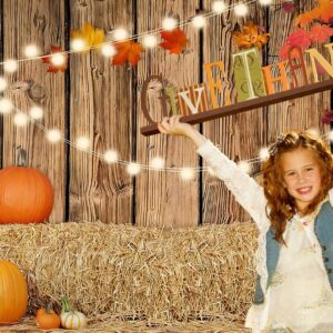 YYNXSY Fall Thanksgiving Photo Backdrop Autumn Retro Board Backdrops Wooden Fence Haystack Pumpkin Photo Background Thanksgiving Party Decorations Studio Photography Props 7X5FT YY-2516