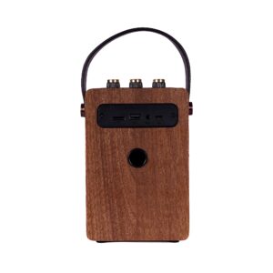 Fuse Andle Vintage Retro Bluetooth Speaker with Vegan Leather Handle | Portable Speaker with Smartphone Connection | USB & AUX Input | Stylish Brown Wood Exterior