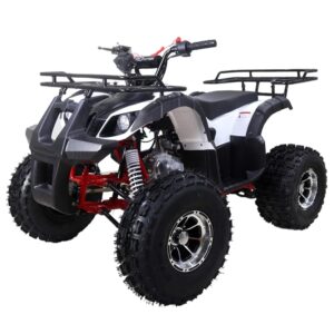 hhh taotao 125cc new tforce mid size atv, automatic with reverse air cooled 4-stroke