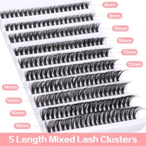 DIY Lash Extension Kit 200pcs Lash Clusters Eyelash Extension Kit 8-16MM Wispy Lash Clusters Kit C D Curl Individual Lashes Kit Eyelash Clusters by Ruairie