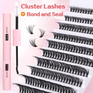 DIY Lash Extension Kit 200pcs Lash Clusters Eyelash Extension Kit 8-16MM Wispy Lash Clusters Kit C D Curl Individual Lashes Kit Eyelash Clusters by Ruairie