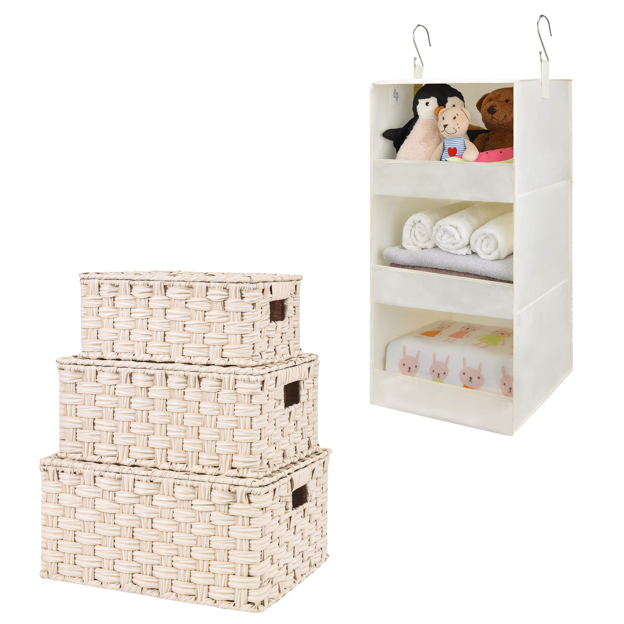 GRANNY SAYS Bundle of 3-Pack Wicker Baskets Storage & 1-Pack Hanging Closet Organizer