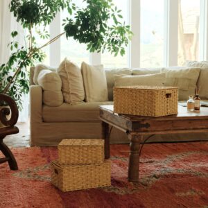 GRANNY SAYS Bundle of 3-Pack Wicker Baskets for Storage & 2-Pack Wicker Shelf Baskets