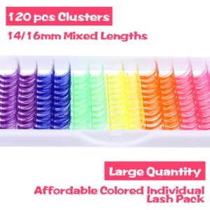 Colored Lash Clusters Individual Lashes D Curl 14mm 16mm Mixed 6 Colors Rainbow DIY Eyelash Extension Colorful Cluster Lashes Pack by EYDEVRO
