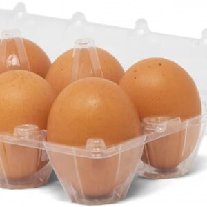 60 Pack Plastic Egg Cartons Cheap Bulk One Dozen Clear Empty Egg Cartons for Chicken Eggs, Reusable Egg Carton for Home Ranch Chicken Farm, Commercial Business Market Display, 2x6 Grids, Large