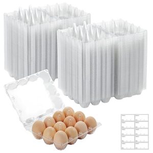whciaxd 200 Pack Plastic Egg Cartons Bulk,Empty Clear Plastic Egg Carton Holds Up to 12 Eggs,Reusable Chicken Egg Tray Holders for Family Pasture Chicken Farm,Business Market Display,Storage