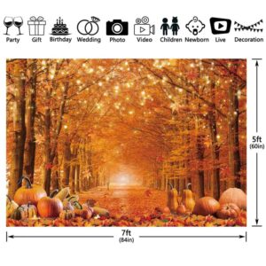 Swepuck 7x5ft Fall Photography Backdrop Autumn Maple Leaves Pumpkin Friendsgiving Background Thanksgiving Party Supplies Farm Harvest Banner Photo Booth