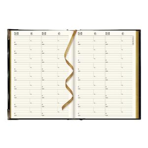 Brownline 2024 Executive Weekly Planner, Appointment Book, 12 Months, January to December, Sewn Binding, 10.75" x 7.75", Trilingual, Assorted Colors, 1 Count (CBE512.ASX-24)