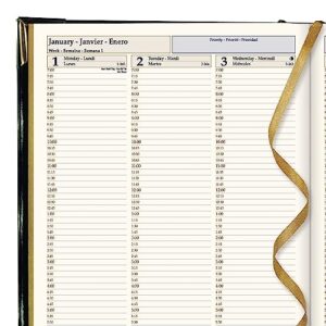 Brownline 2024 Executive Weekly Planner, Appointment Book, 12 Months, January to December, Sewn Binding, 10.75" x 7.75", Trilingual, Assorted Colors, 1 Count (CBE512.ASX-24)