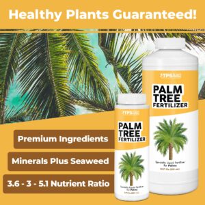 Palm Tree Fertilizer for All Palms and Ferns, Liquid Plant Food 8 oz (250mL)