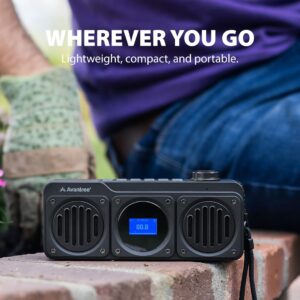 Avantree Boombyte - Portable Digital FM Radio with Bluetooth Speaker, Superb Sound, Metal Finish, MP3 Player, Support Micro SD Card & USB Audio Input, Long Play Time, Rechargeable, Easy to Use.