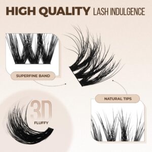 LASHVIEW Cluster Lashes Wispy Cluster Eyelash Extensions 3D DIY Lash Clusters 10-16mm Multilayered Eyelash Clusters, Reusable Fluffy Individual Lashes Cluster(ML 11)
