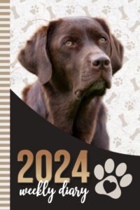 2024 weekly diary: 6x9 dated personal organizer / daily scheduler with checklist - to do list - note section - habit tracker / organizing gift / ... labrador retriever dog - paw print art cover