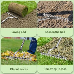 ZZM Thatch Rake, 15.7 Inch Lawn Thatching Rake for Cleaning Dead Grass, Stainless Steel Dethatching Rake with Back-Saving Handle, Grass Rake with Curved Steel Tines for Lawn Loosening Soil, 60" Length