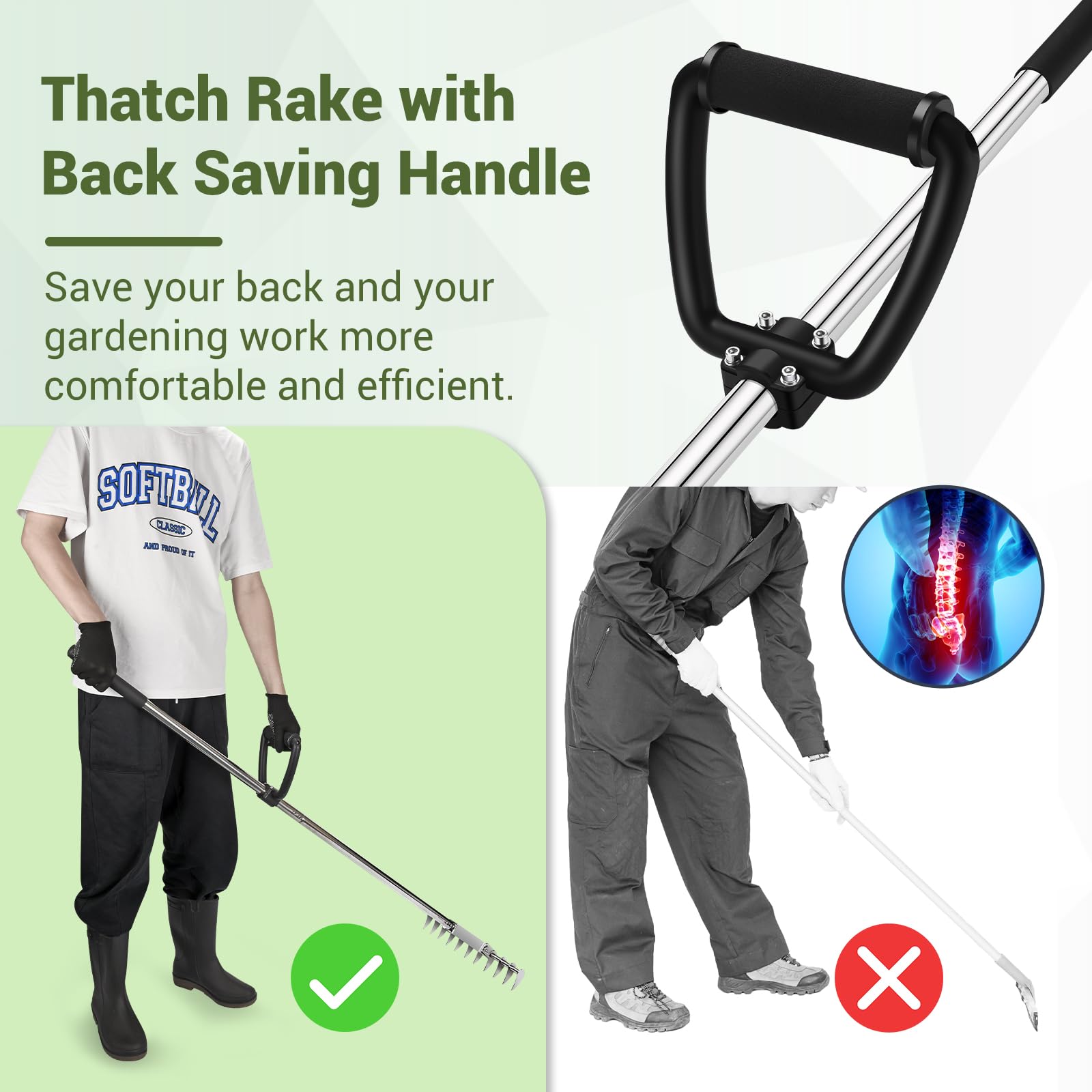 ZZM Thatch Rake, 15.7 Inch Lawn Thatching Rake for Cleaning Dead Grass, Stainless Steel Dethatching Rake with Back-Saving Handle, Grass Rake with Curved Steel Tines for Lawn Loosening Soil, 60" Length