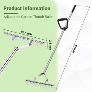 ZZM Thatch Rake, 15.7 Inch Lawn Thatching Rake for Cleaning Dead Grass, Stainless Steel Dethatching Rake with Back-Saving Handle, Grass Rake with Curved Steel Tines for Lawn Loosening Soil, 60" Length