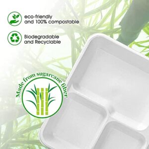 Leafarms 100% Compostable 10x8 / 5 Cp Tray [125-Pack], Heavy Duty Eco-Friendly Dinner Plates Disposable I Biodegradable Unbleached Sugarcane Eco Trays - (Color - White)