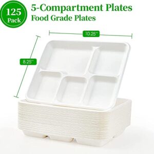 Leafarms 100% Compostable 10x8 / 5 Cp Tray [125-Pack], Heavy Duty Eco-Friendly Dinner Plates Disposable I Biodegradable Unbleached Sugarcane Eco Trays - (Color - White)