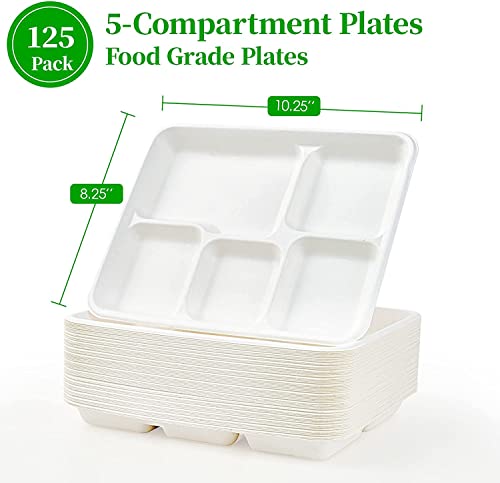 Leafarms 100% Compostable 10x8 / 5 Cp Tray [125-Pack], Heavy Duty Eco-Friendly Dinner Plates Disposable I Biodegradable Unbleached Sugarcane Eco Trays - (Color - White)