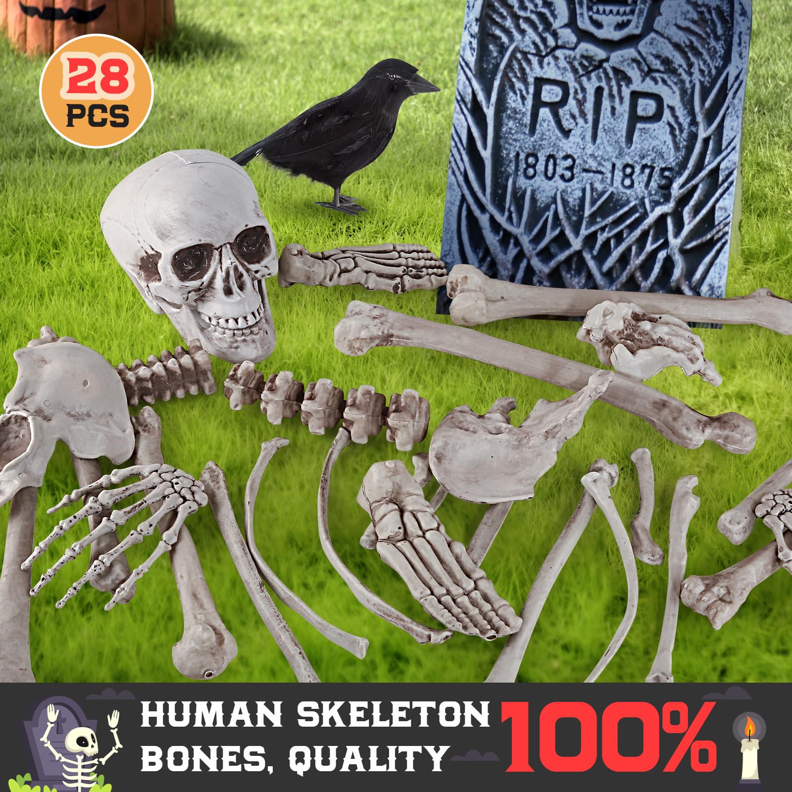 AuroTops Halloween Decoration 29PCS Skeleton Bones and Skulls with a Crow for Halloween Decor/Spooky Graveyard Ground, Outdoor Indoor Halloween Porps Decoration for Life Size Skull Bones