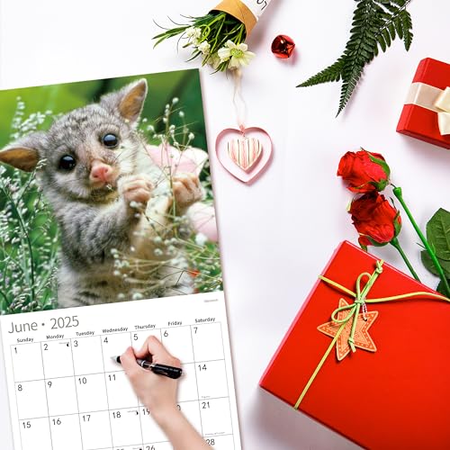 2024 Wall Calendar,Calendar 2024, November 2023 - December 2024, Wall Calendar Puppy, 12" x 24" Opened,Full Page Months Thick & Sturdy Paper for Gift Kids Teen Calendar Organizing & Planning