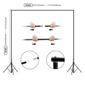 HPUSN Photography Studio Backdrop Stand, 10 Inch Backdrop Stand Kit with 4 Backdrop Clips, 2 Sandbags and Carrying Bag, Suitable for Wedding/Party/Stage Decoration/Photography