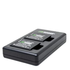 Wasabi Power Battery (2-Pack) and USB-C Dual Charger for Ricoh DB-110 and Ricoh GR III, GR IIIx, Theta X, WG-6, G900