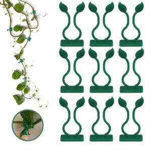 revylink 100pcs plant clips for vines wall plant clips for climbing plants training sticky hooks hanging plants climbing wall fixture clips plant climber vine plant support green