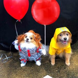 Halloween Decoration Includes Halloween Costume Yellow Raincoat Jacket and Reusable Balloon Kit with Balloon Sticks with Cups Halloween Prop for Kids