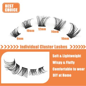 Veleasha Lash Clusters 120pcs D Curl Clusters Lashes Volume Individual Lashes Wispy DIY Lash Extensions Fake Eyelashes Mix Length 8/10/12/14/16mm at Home Lash Extension Clusters (10R,B10-D,8-16MM)