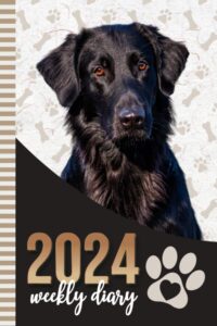 2024 weekly diary: 6x9 dated personal organizer / daily scheduler with checklist - to do list - note section - habit tracker / organizing gift / black flat-coated retriever dog - paw print art cover