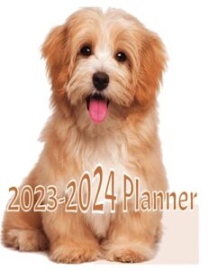 2023-2024 calendar: 2023-2024 pocket planner