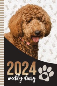 2024 weekly diary: 6x9 dated personal organizer / daily scheduler with checklist - to do list - note section - habit tracker / organizing gift / brown goldendoodle - golden doodle paw print art cover