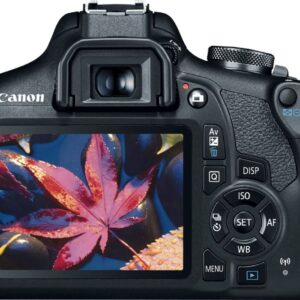 Canon EOS 2000D/T7 Vlogger Kit:EF-S 18-55mm,EF 75-300mm & 420-800mm Lenses,64GB Memory Card,Ring Light,Spider Tripod, Filter Kit,Gadget Bag,Remote Shutter,USB Card Reader (Renewed)