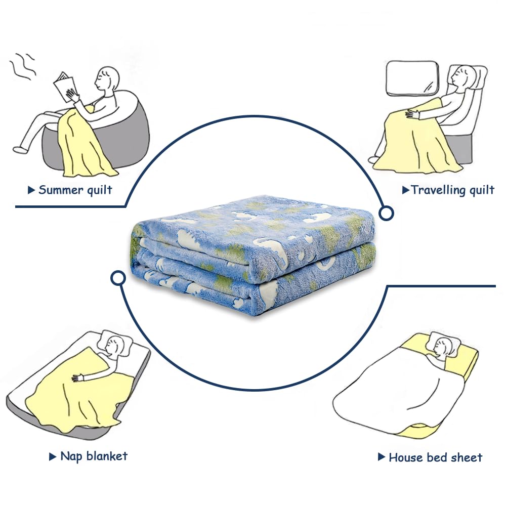 YRIOWMI Luminous Blanket, Dinosaur Blue for Children's Birthday Gift 50"×60"