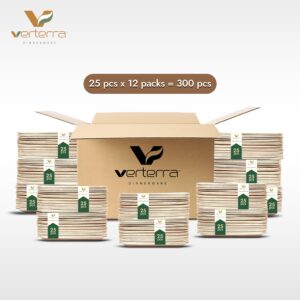 VerTerra Palm leaf plates - 10 inch square, 300 pack – Like Bamboo plates, Disposable and Eco-friendly dinnerware in bulk for Events, Parties, Weddings