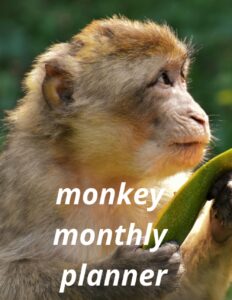 monkey monthly planner: five year monthly calendar, schedule organizer (60 months, jan 2024 to dec 2028)