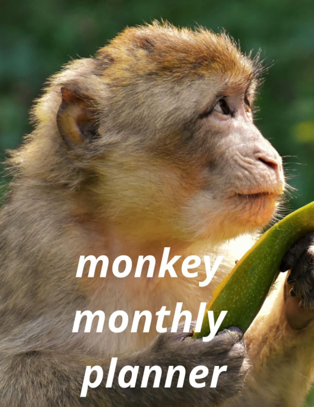 monkey monthly planner: Five Year Monthly Calendar, Schedule Organizer (60 Months, jan 2024 to Dec 2028)