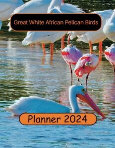 great white african pelican birds planner 2024