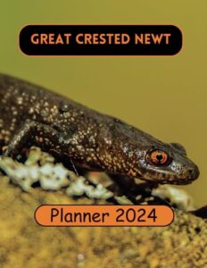great crested newt planner 2024