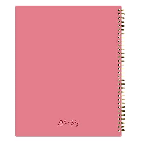 Blue Sky 2024 Weekly and Monthly Planner, January - December, 8.5" x 11", Frosted Cover, Wirebound, Fly By (140195-24)