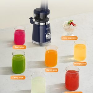 Cold Press Juicer, FEZEN Small Masticating Juicer for Fruits and Vegetables, Powerful Juice Extractor Machine with Compact Size and Space-Saving Feature, Very Easy to Clean (Updated)