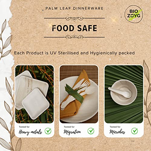 BIOZOYG | 9x6 inch Rectangle Shallow Tray 50 pcs | Disposable Trays for Party | Like Bamboo Tray| Palm leaf Serveware | Compostable Serveware | Picnic Party Serveware better than Paper Trays