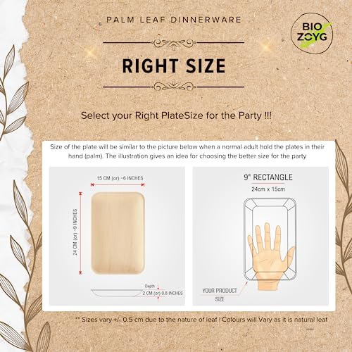 BIOZOYG | 9x6 inch Rectangle Shallow Tray 50 pcs | Disposable Trays for Party | Like Bamboo Tray| Palm leaf Serveware | Compostable Serveware | Picnic Party Serveware better than Paper Trays