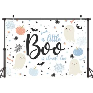 Ticuenicoa 6×4ft Halloween Baby Shower Backdrop A Little Boo is Almost Due Blue Ghost Bat Pumpkin Boys Kids Hey Boo 1st Birthday Party Photography Background First Birthday Party Banner Decor