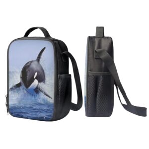 Parprinty Cute Kids School Backpacks & Lunch Boxes Lightweight Durable Large Capacity Blue Killer Whale Backpack Set for Boys Girls Adjustable Straps Breathable 17 Inch Bookbag with Pencil Case