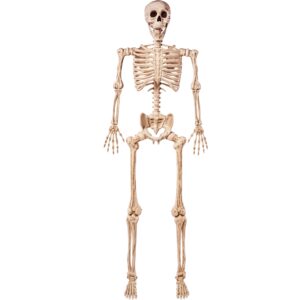 joyin 67 inches life size skeleton full body realistic human bones with posable joints for halloween pose skeleton prop decoration, indoor and outdoor use