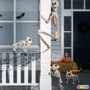 JOYIN 67 Inches Life Size Skeleton Full Body Realistic Human Bones with Posable Joints for Halloween Pose Skeleton Prop Decoration, Indoor and Outdoor Use