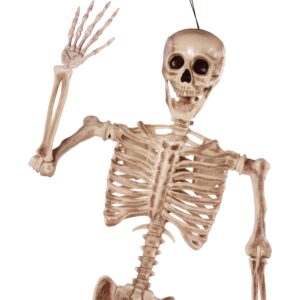JOYIN 67 Inches Life Size Skeleton Full Body Realistic Human Bones with Posable Joints for Halloween Pose Skeleton Prop Decoration, Indoor and Outdoor Use