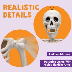 JOYIN 3 PCS Halloween Hanging Skeletons 16" Full Body Posable Joints Movable Plastic Bones for Halloween Party Outdoor Indoor Decor, Yard Patio Lawn Garden Props Decorations